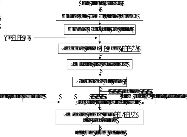 Gambar 1.  Diagram alir proses pembuatan jeli terung belanda (Arbani, 1995) yang telah  dimodifikasi 