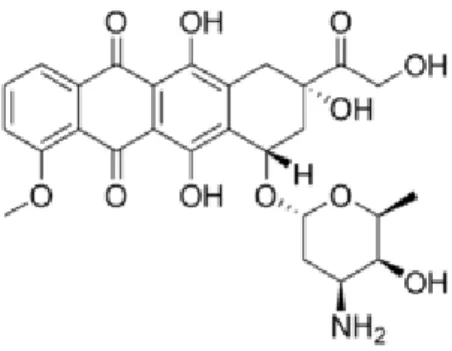 Gambar  1.1.  Struktur  kimia  dari  5,12-Naphthacenedione,  10[(3-amino-2,3,6-trideoxy-alpha-L- 10[(3-amino-2,3,6-trideoxy-alpha-L-lyxo-   hexo-pyranosyl)oxy]-7,8,9,10-tetrahydro-6,8,11-trihydroxy-8-(hydroxyacetyl)-1-methoxy-hydrochloride (8S-cis)