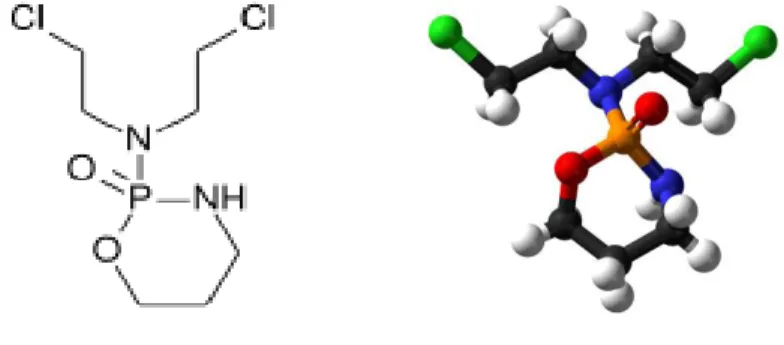 Gambar 1.3  Struktur kimia  Cyclophosphamide  (N,N-bis(2-chloroethyl)-1,3,2-oxazaphosphinan-2- (N,N-bis(2-chloroethyl)-1,3,2-oxazaphosphinan-2-amine 2-oxide)