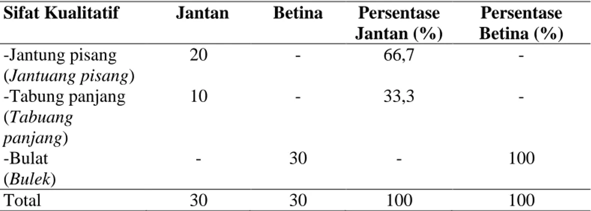 Tabel  4.  Sifat  Kualitatif  Bentuk  Badan  Ayam  Kokok  Balenggek   Jantan dan Betina Dewasa  (N Jantan = 30) (N Betina = 30)  Sifat Kualitatif  Jantan   Betina  Persentase 