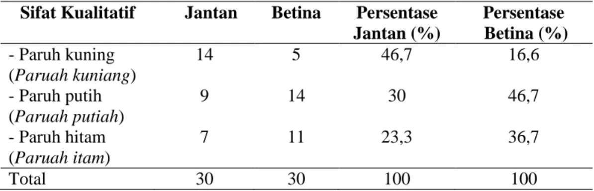 Tabel  3.  Sifat  Kualitatif  Warna  Paruh  Ayam  Kokok  Balenggek   Jantan dan Betina Dewasa  (N Jantan = 30) (N Betina = 30)  Sifat Kualitatif  Jantan   Betina  Persentase 