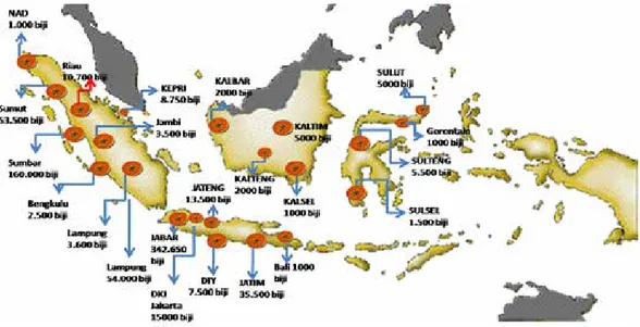Gambar 1. Peta distribusi benih papaya Merah Delima