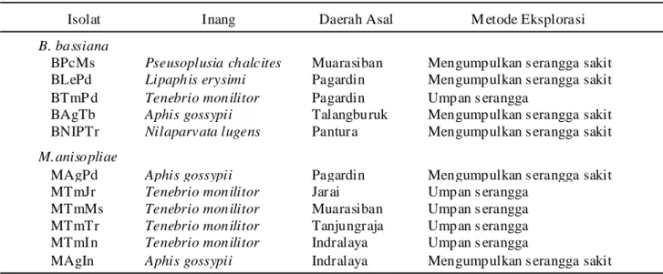 Tabel 1. Isolat jamur entomopatogen koleksi laboratorium