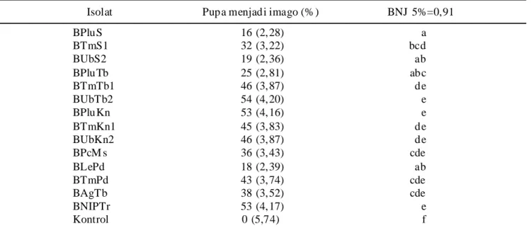 Tabel 10.   Persentase pupa P. xylostella menjadi imago setelah aplikasi M.  anisopliae