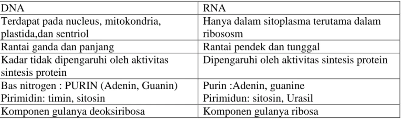 Tabel perbandingan DNA dan RNA  yang benar adalah : 