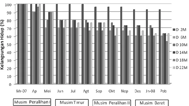 Tabel 1.  Analisa varians, kelangsungan hidup anakan kerang mutiara (P. maxima)      berdasarkan level  kedalaman yang berbeda