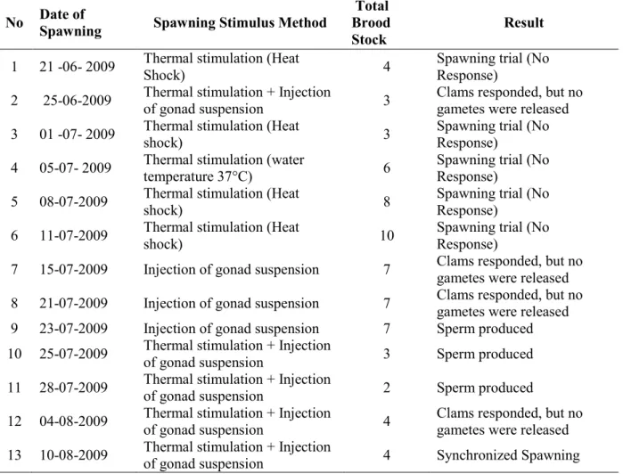 Tabel 1. Perlakuan rangsangan pada pemijahan kima (Tridacna squamosa) : kejut suhu, penyuntikan  suspensi gonad dan kombinasinya