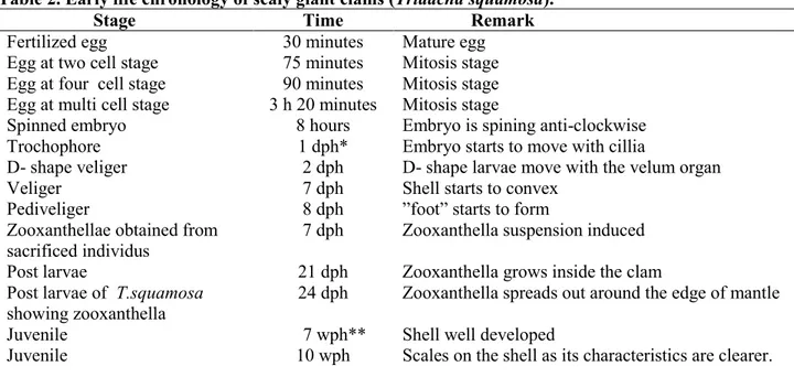 Tabel 2. Perkembangan telur, larva dan juvenil kima (Tridacna squamosa). 