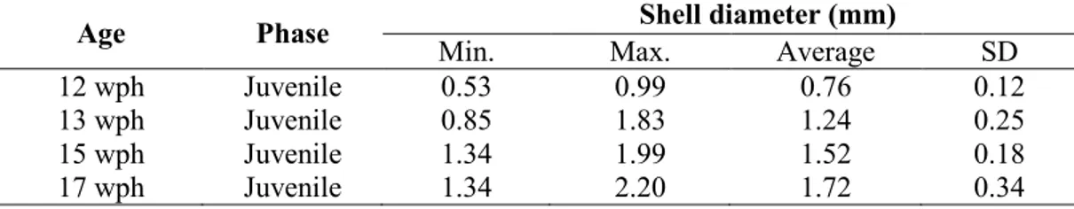 Tabel 3. Laju pertumbuhan cangkang kima (Tridacna squamosa).  
