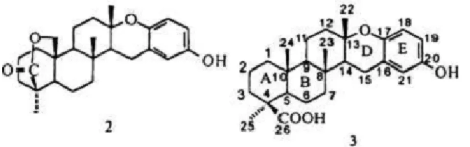Gambar 3. Struktur dari senyawa Strongylophorine 2 dan Stronggyloporine 3                      yang aktif menghambat Salmonella typhii 