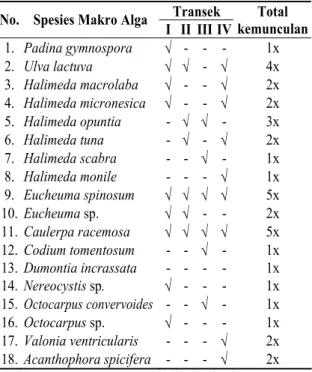 Tabel 4.  Jenis-Jenis Makro Alga. 