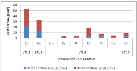 Gambar 5. Berat karbon biomassa lamun yang ditemukan bulan April 2013 di Teluk Miskam,  Tanjung Lesung, Banten 