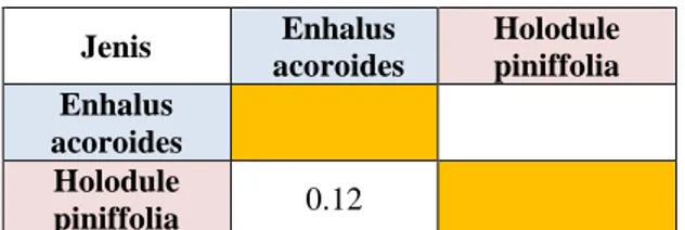 Tabel 7. Indeks Asosiasi Interspesies Lamun di  Desa Berakit  Jenis  Enhalus  acoroides  Holodule piniffolia  Enhalus  acoroides  Holodule  piniffolia  0.12  Sumber : Data Primer 