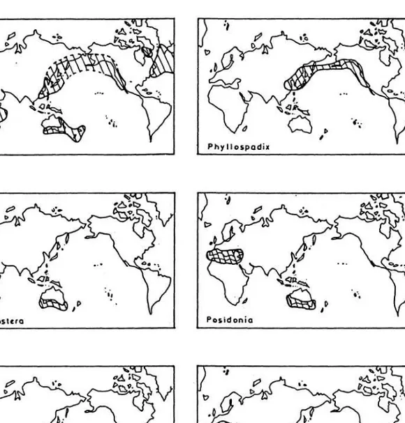 Gambar 1: Sebaran geografik beberapa genera lamun (DEN HARTOG 1970). 