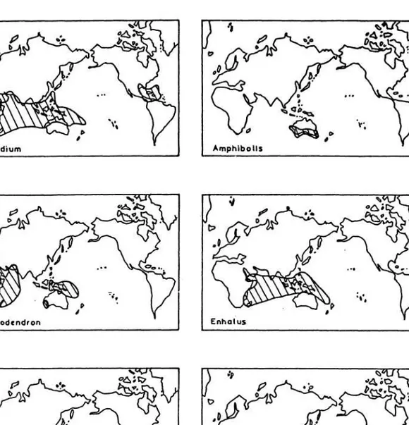 Gambar 2 : Sebaran geografik beberapa genera lamun (DEN HARTOG 1970). 