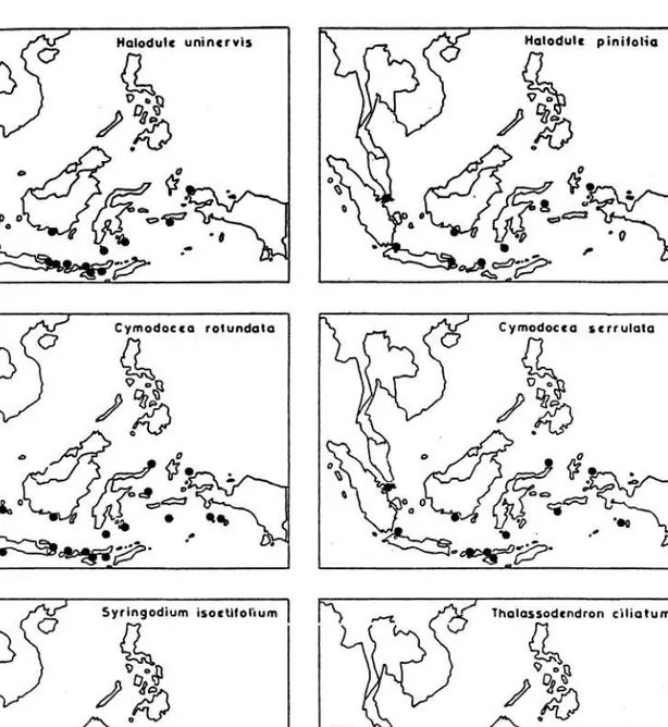 Gambar 3:  Sebaran geografik spesies lamun di perairan Indonesia (DEN HARTOG 1970; 