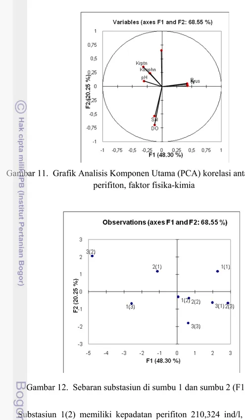Gambar 11.  Grafik Analisis Komponen Utama (PCA) korelasi antara lamun,  perifiton, faktor fisika-kimia 