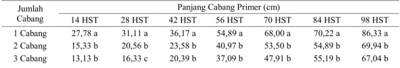 Tabel 3. Panjang Cabang Primer Tanaman Jarak Pagar Dari Bibit Sambungan dengan Jumlah  Cabang yang Berbeda Selama 98 HST 