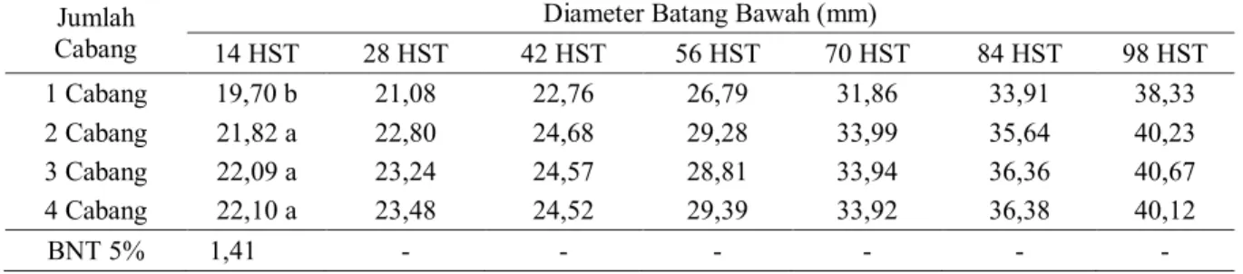 Tabel 6.Diameter Batang Cabang Primer Tanaman Jarak Pagar Dari Bibit Sambungan dengan Jumlah  Cabang yang Berbeda Selama 98 HST 