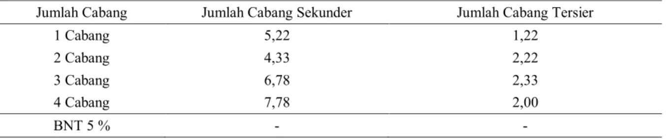 Tabel  8.Jumlah  Cabang  Sekunder  dan  Cabang  Tersier  Tanaman  Jarak  Pagar  Dari  bibit  Sambungan  dengan Jumlah Cabang yang Berbeda 
