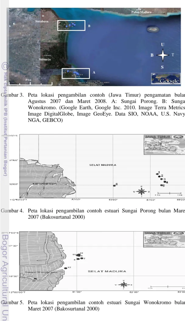 Gambar 3.  Peta  lokasi  pengambilan  contoh  (Jawa  Timur)  pengamatan  bulan  Agustus  2007  dan  Maret  2008