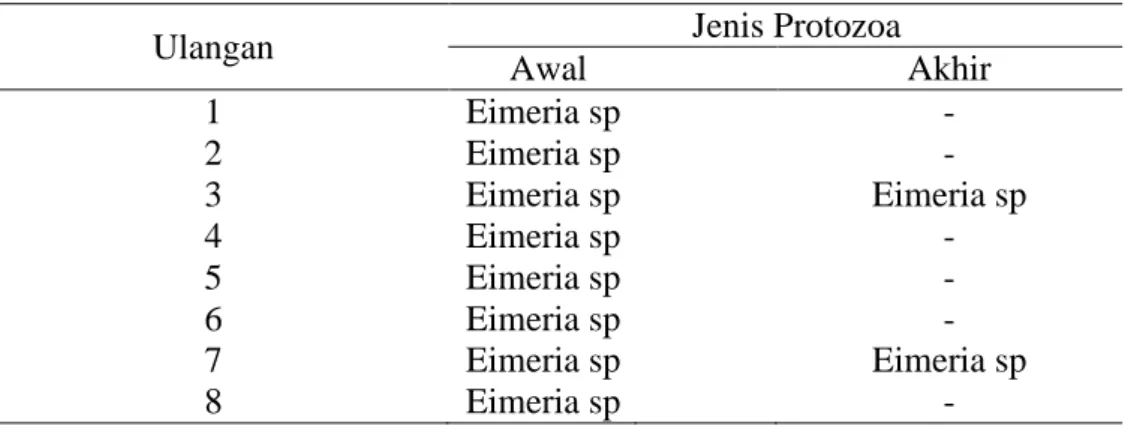 Tabel 2. Jenis Protozoa 