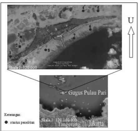 Gambar 1. Lokasi dan Peta Pulau Pari (Sumber: Google Earth, 2012)  Metode  sampling  adalah  koleksi 
