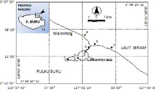 Gambar 1. Peta lokasi penelitian di perairan Jikumerasa, Pulau Buru. 