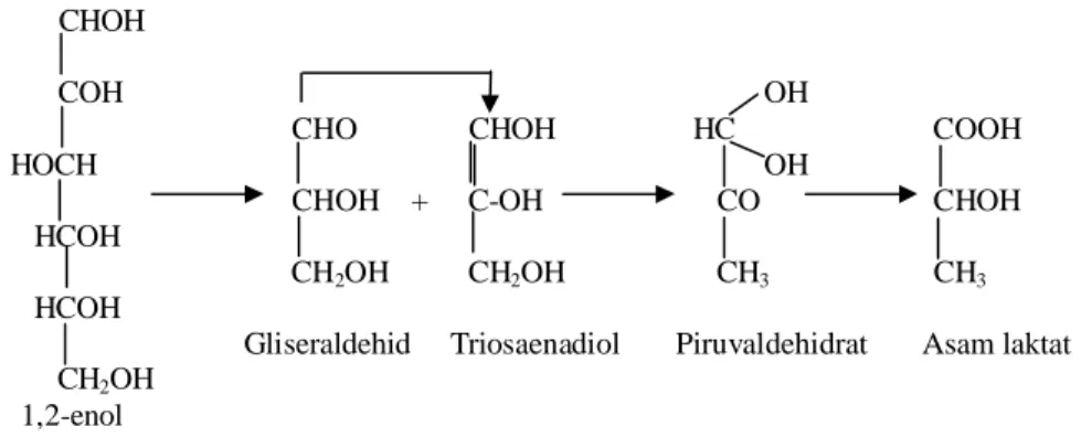 Gambar 3. Reaksi degradasi 1,2-enol pada kondisi basa (Eskin et al., 1971)