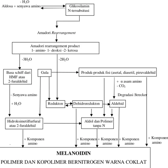 Gambar 4. Skema umum reaksi Maillard (Ames, 1992)
