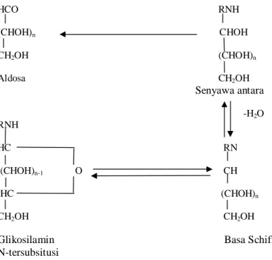 Gambar 5. Reaksi pembentukan glikosilamin N-tersubtitusi (Ames, 1992)