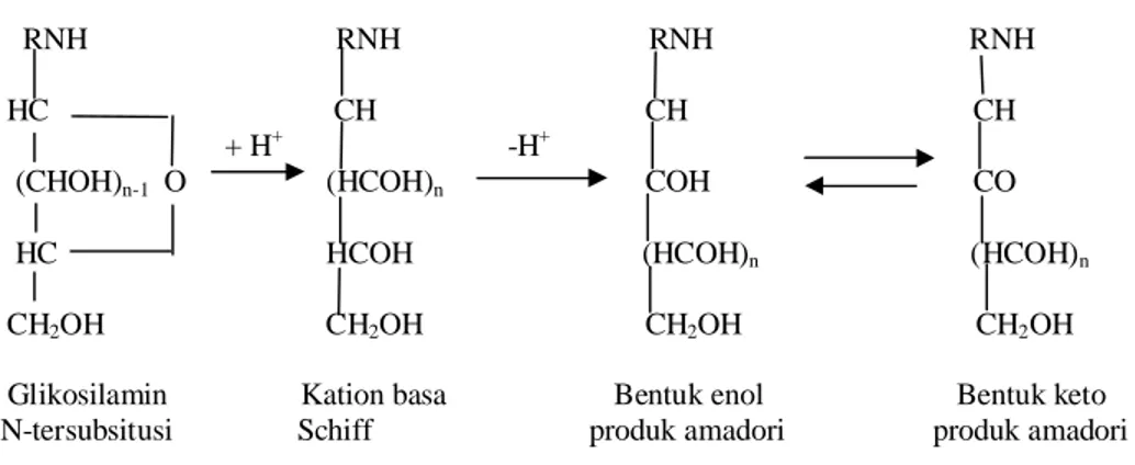 Gambar 6. Skema reaksi produk amadori (Ames, 1992).