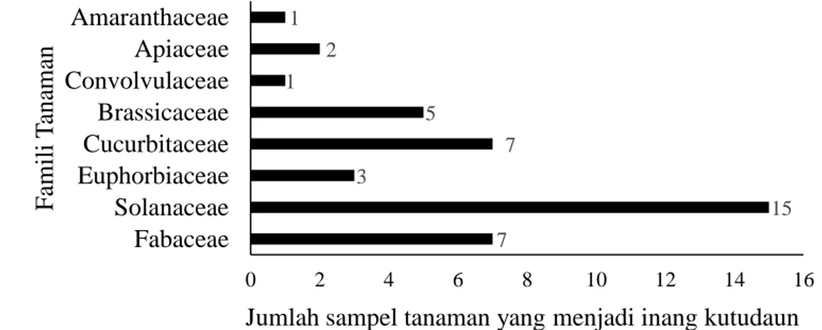 Gambar 4  Jumlah sampel tanaman sayuran yang menjadi inang kutudaun di Bogor  dan Cianjur 