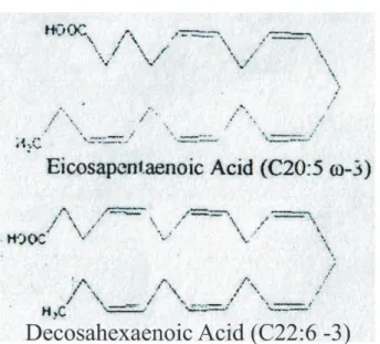 Gambar 1: Struktur DHA dan EPA [6]