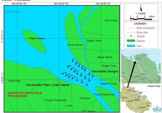 Gambar 1. Peta physiographic perairan Esturia Bagan, tanda panah menunjukkan daerah  penelitian dalam kotak