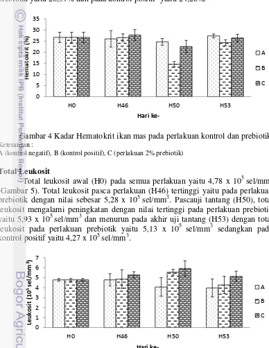 Gambar 5 Total leukosit ikan mas pada perlakuan kontrol dan prebiotik 