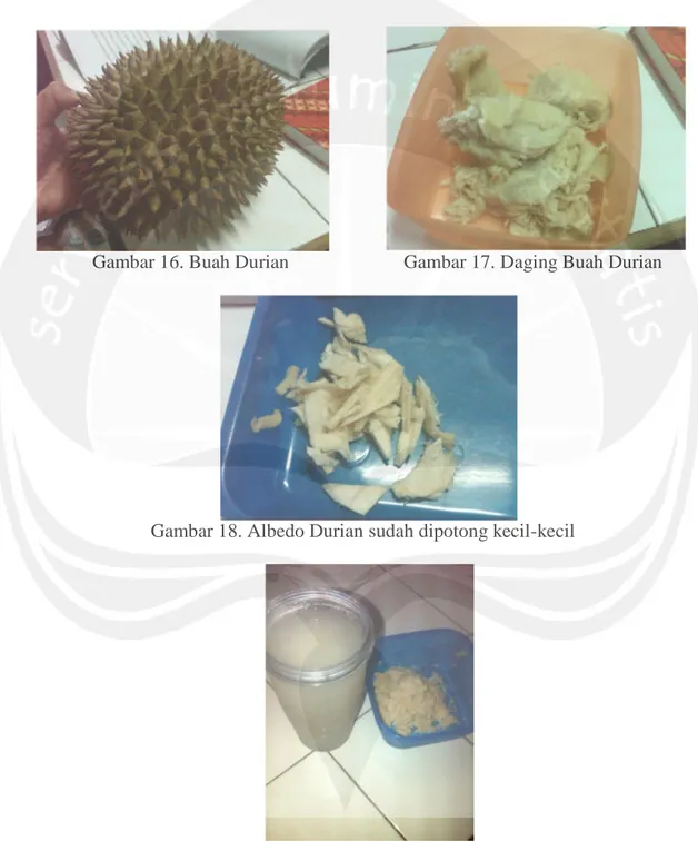 Gambar 16. Buah Durian Gambar 17. Daging Buah Durian