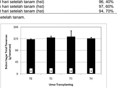 Tabel 1 Persentase keberhasilan transplanting (%) pada berbagai umur pengamatan 