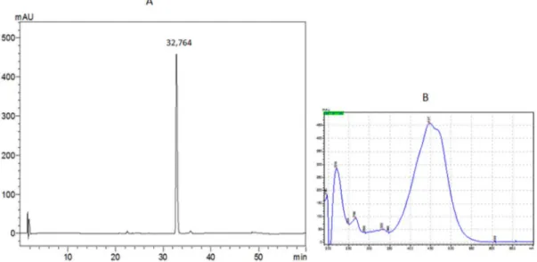 Gambar 4. Kromatogram baku fukosantin (A) dan profil UV fukosantin (B).
