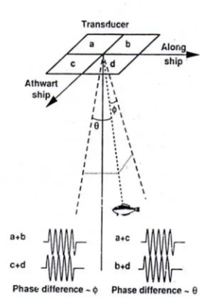 Gambar 2. Bentuk split beam dan full beam echosounder  Split beam system memiliki kelebihan dan kekurangan dibandingkan  dengan metode lainnnya