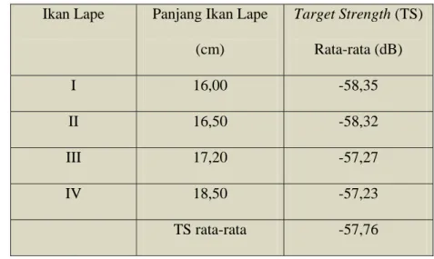 Tabel 1. Nilai TS rata-rata keempat ikan lape  Ikan Lape  Panjang Ikan Lape 