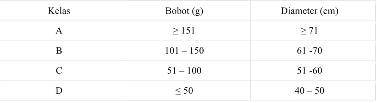 Tabel 1.  Kriteria Jeruk Keprok, termasuk Jeruk Siam (SNI  01-3165-1992) 
