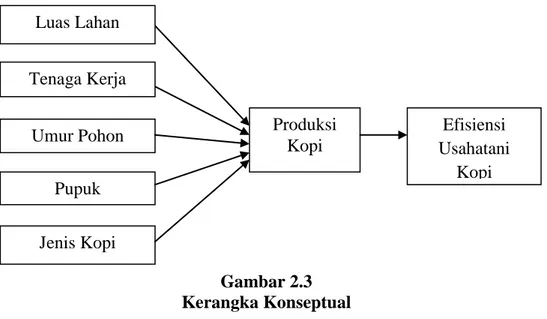 Gambar 2.3  Kerangka Konseptual  2.4.  Hipotesis  Produksi Kopi Tenaga Kerja Umur Pohon Luas Lahan Pupuk Jenis Kopi  Efisiensi  Usahatani Kopi 