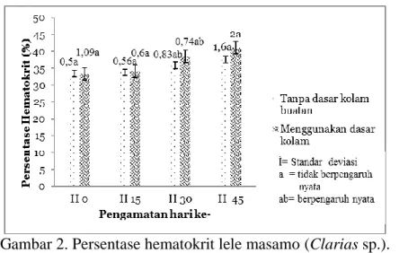 Gambar 2. Persentase hematokrit lele masamo (Clarias sp.). 