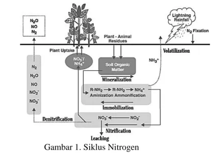 Gambar 1. Siklus Nitrogen  