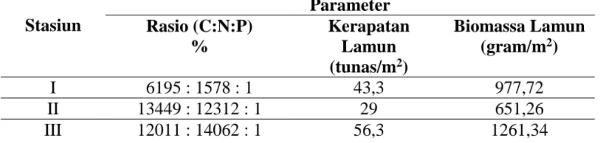 Tabel 3 . Nilai rasio C:N:P pada sedimen, kerapatan dan biomassa lamun  E. acoroides  Stasiun  Parameter  Rasio (C:N:P)  %  Kerapatan Lamun  (tunas/m 2 )  Biomassa Lamun (gram/m2)  I  6195 : 1578 : 1  43,3  977,72  II  13449 : 12312 : 1  29  651,26  III  1