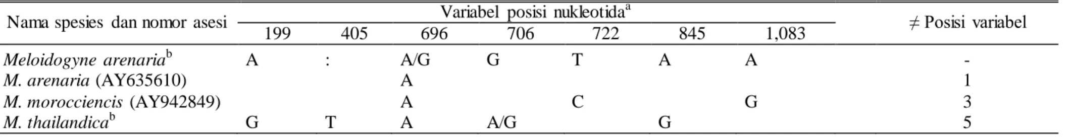 Tabel  6. Variabel  posisi  nukleotida  pada bagian  perluasan  28S rDNA D2-D3 beberapa nematoda  puru  akar 