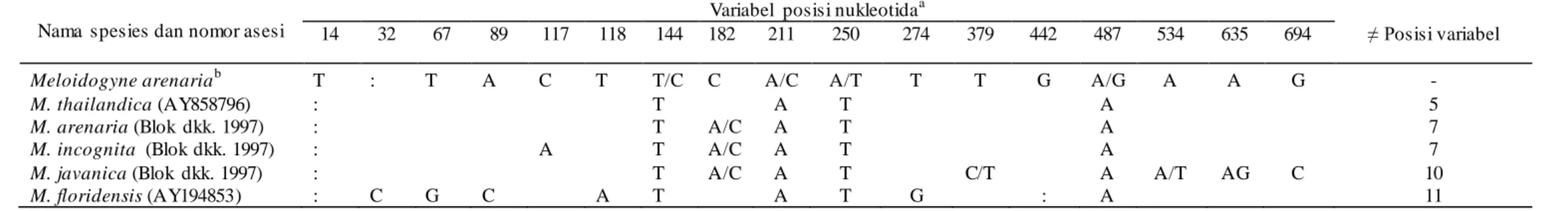 Tabel  8. Variabel  posisi  nukleotida  pada penyesuaian  sebagian  sikuen  genom  Hsp90 dari  beberapa nematoda  puru  akar 