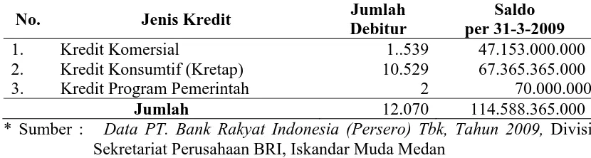 Tabel 8  :  Jenis Kredit Yang Disalurkan PT. Bank Rakyat Indonesia (Persero)                     Kantor Cabang Iskandar Muda Medan 