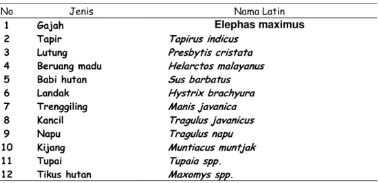 Tabel 7. Jenis-Jenis Mamalia yang Tercatat di SM Balairaja  ( - Elephas maximus  &amp; * ) 65 ) $ * ) ! 5 6 # 6 6 * 5 C 6 ) 5 0 ) 1 ) ) &#34; : ' ) &amp; C! 5 Sumber: PPLH-IPB, 2004 
